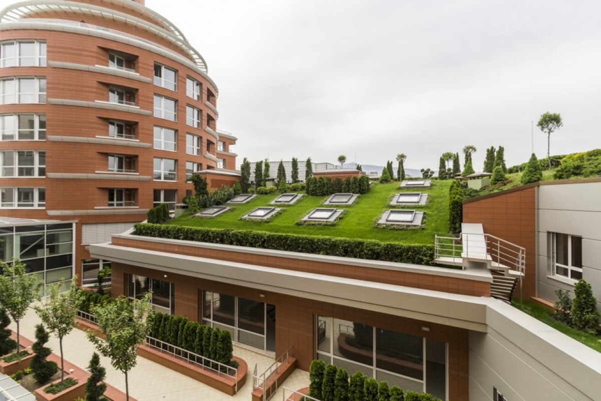 Докторската градина остава магнит на пазара на недвижими имоти в София - image 1
