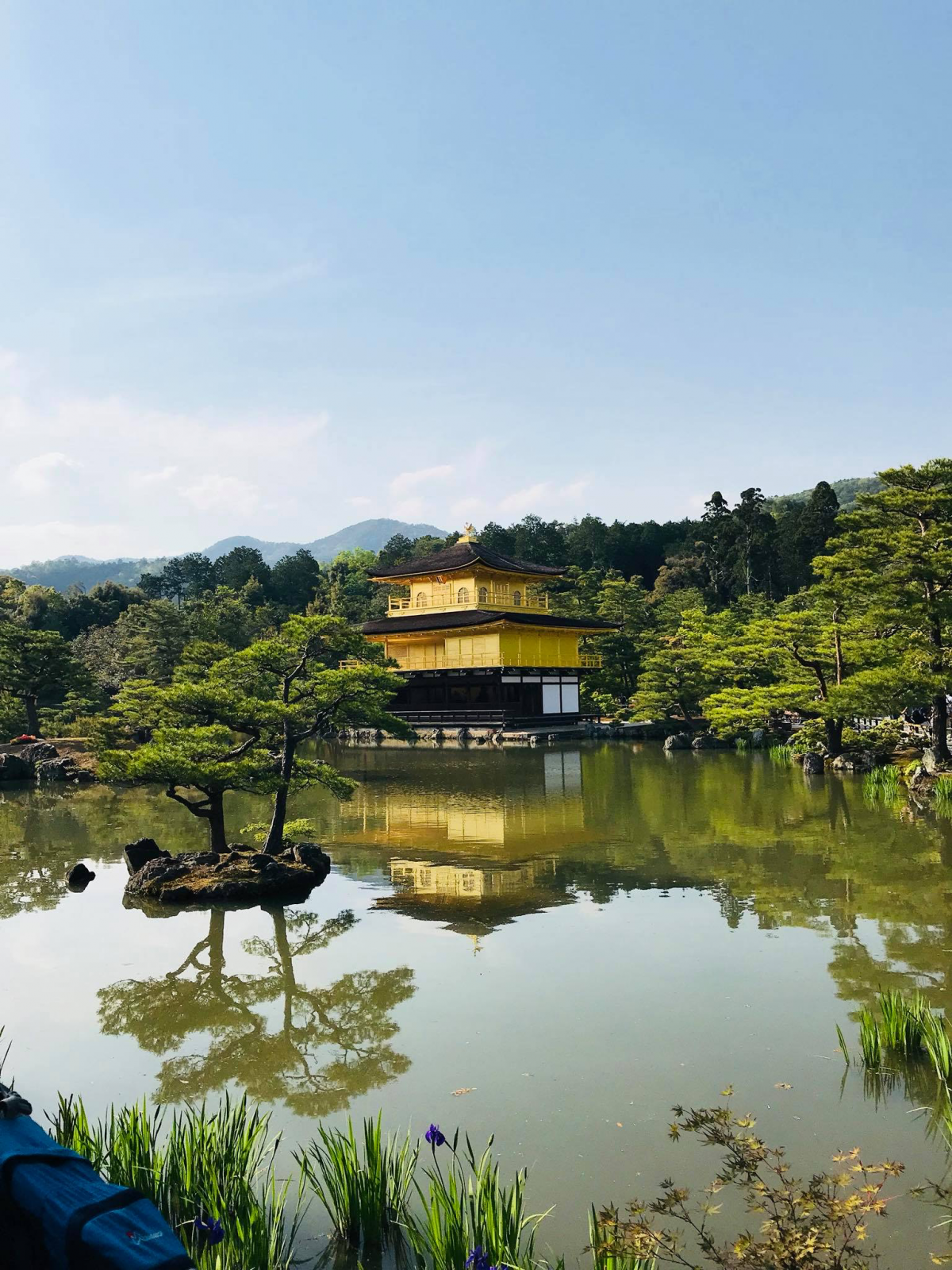 Around the world with Unique Estates - Vesela Ilieva in Japan - image 2